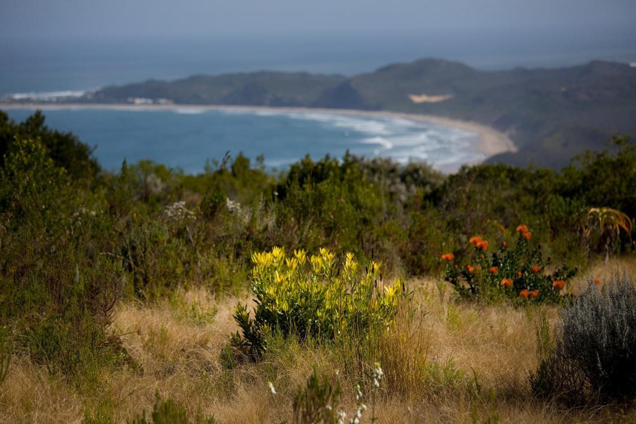 Alkira Lodge Brenton-on-Sea Exterior photo